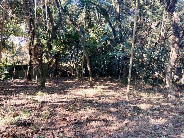 Terreno com 2334m², à venda, no bairro Parque Frondoso em Cotia