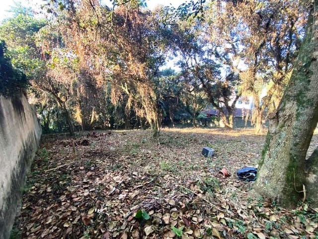 Terreno com 2334m², à venda, no bairro Parque Frondoso em Cotia