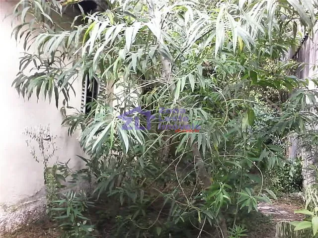 Terreno com 320m², à venda ou para alugar, no bairro Vila Carrão em São Paulo