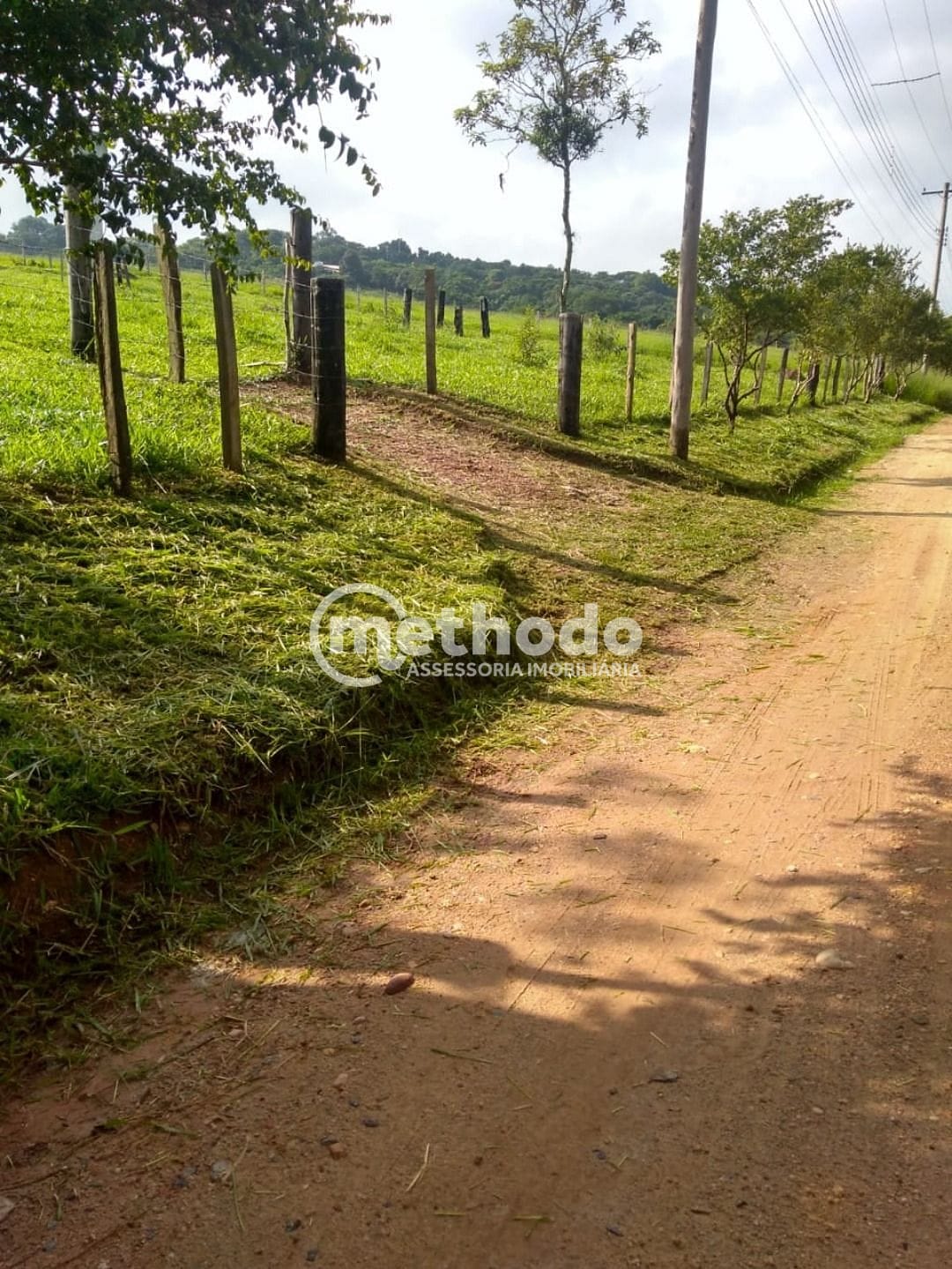Terreno, 3 hectares - Foto 4