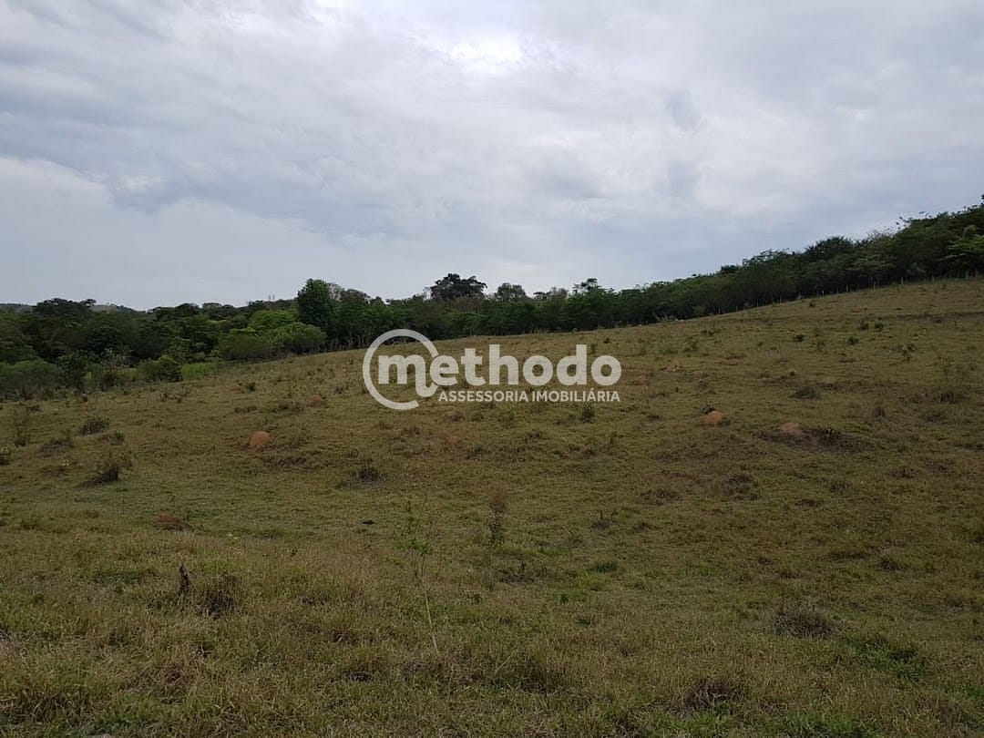 Terreno, 3 hectares - Foto 3