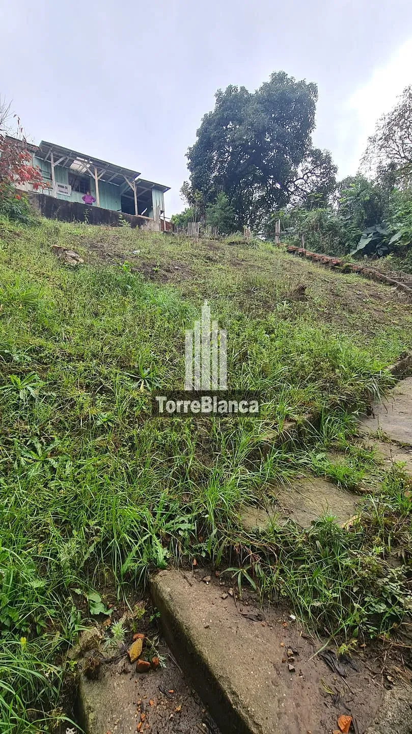 Terreno, 416 m² - Foto 3