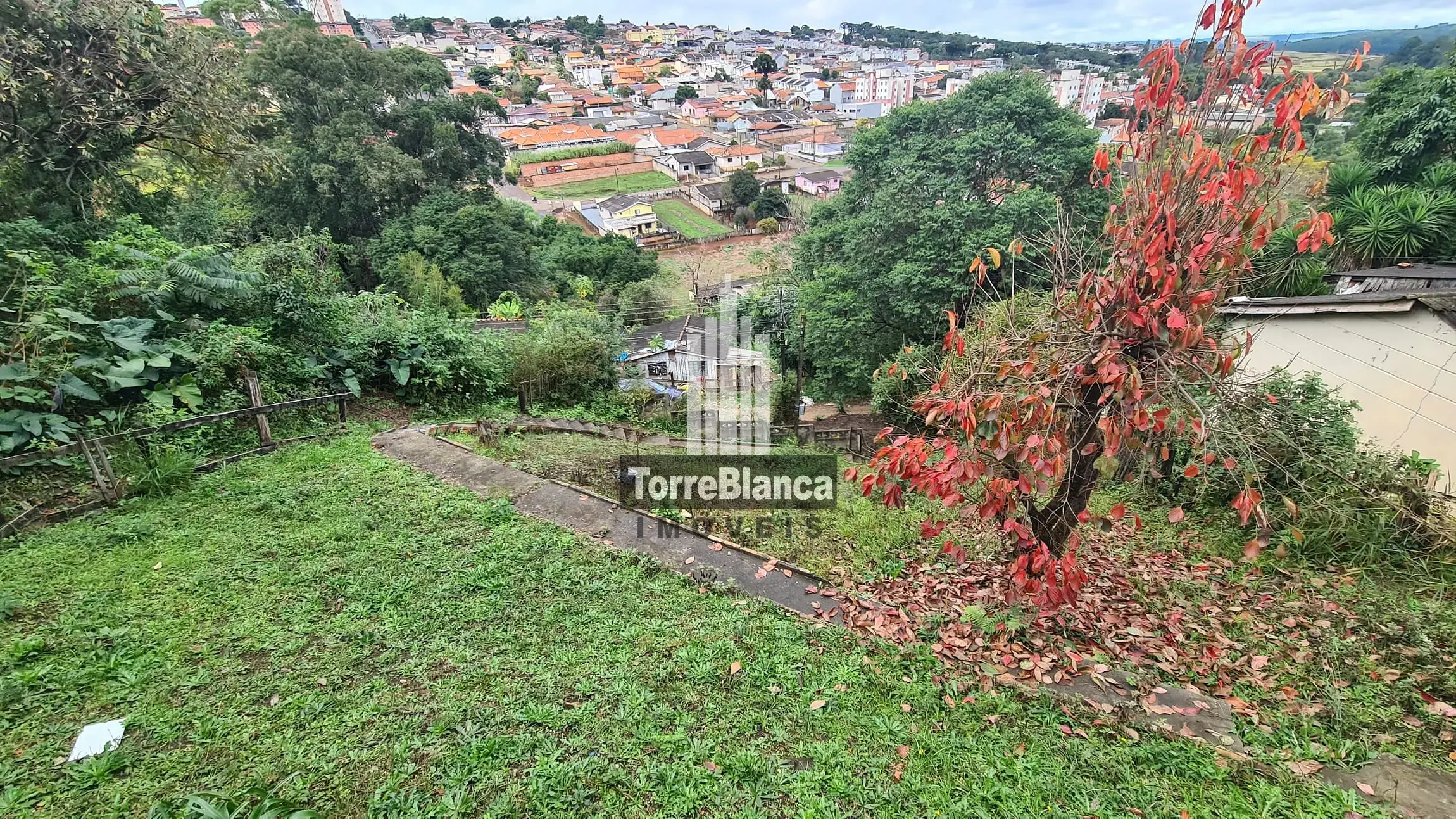 Terreno, 416 m² - Foto 5