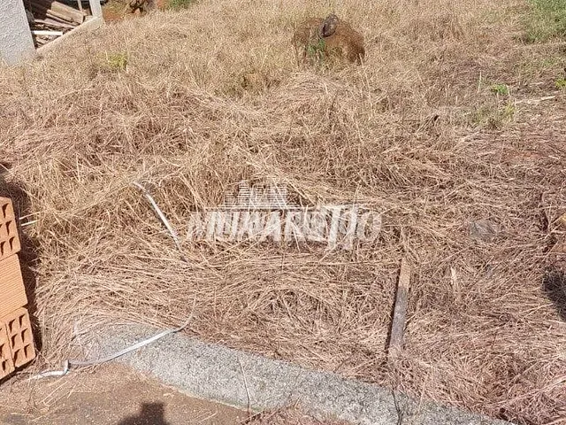 Terreno com 388m², à venda, no bairro Guilherme Reich em Concórdia