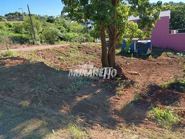 Terreno com 451m², à venda, no bairro Santo Antônio em Concórdia