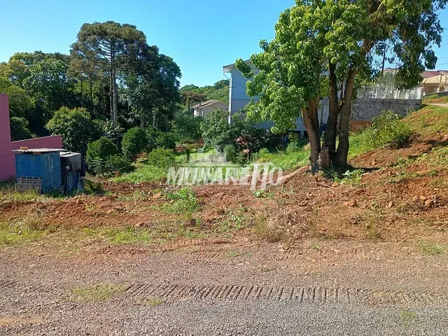 Terreno com 451m², à venda, no bairro Santo Antônio em Concórdia