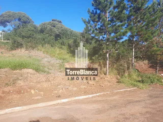 Terreno com 522m², à venda, no bairro Estrela em Ponta Grossa