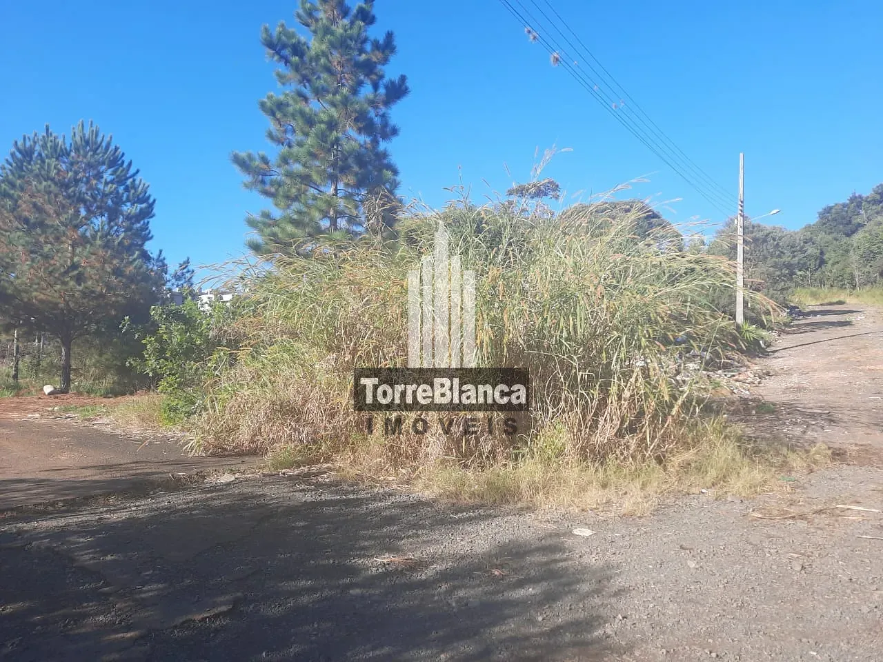 Terreno, 522 m² - Foto 2