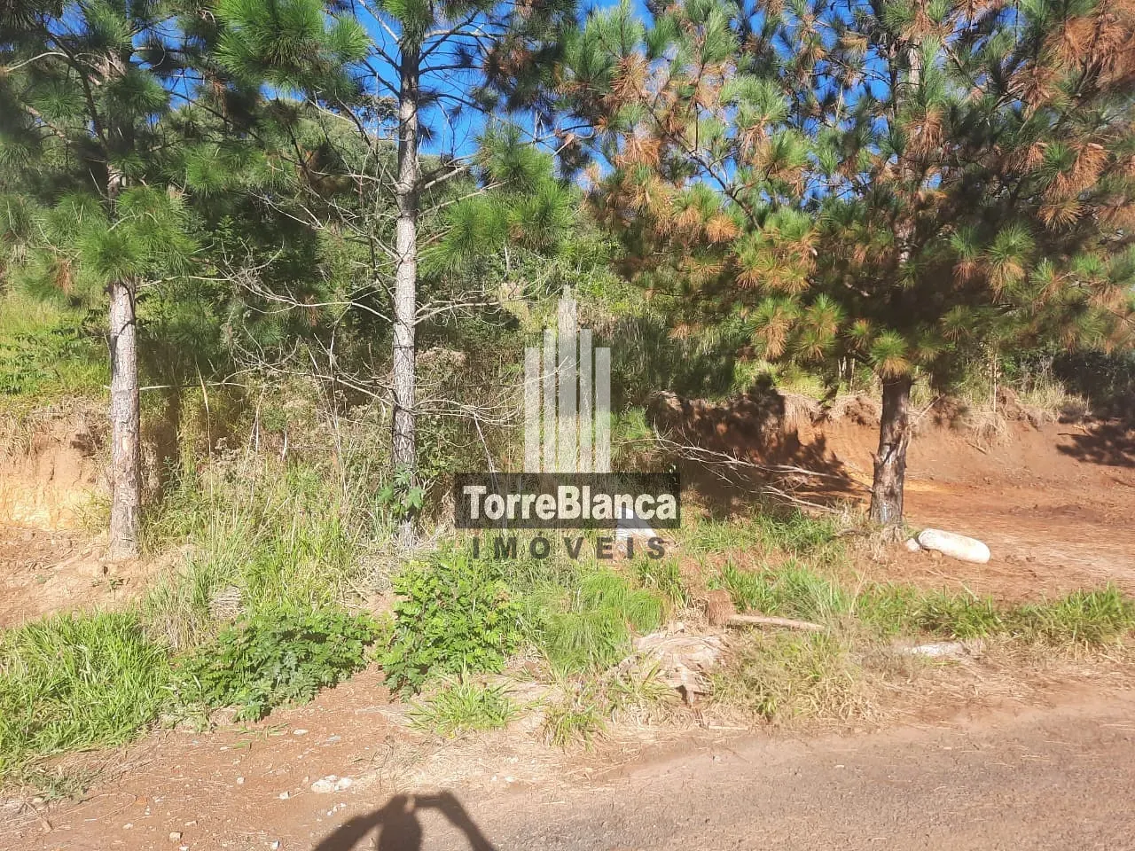 Terreno, 522 m² - Foto 4
