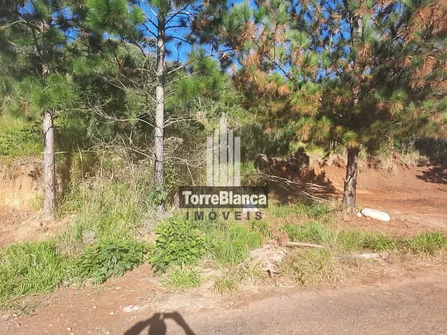 Terreno com 466m², à venda, no bairro Estrela em Ponta Grossa