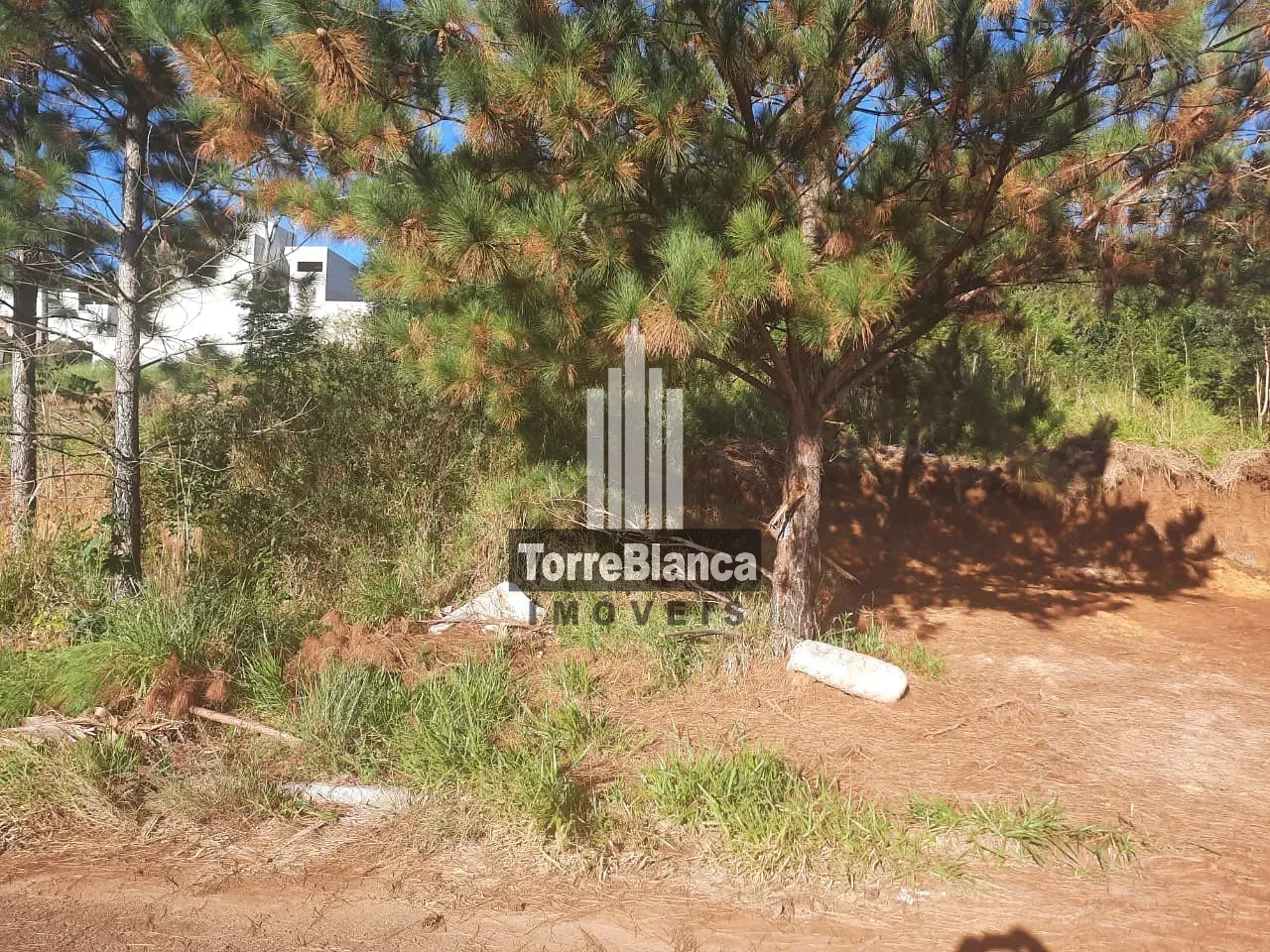 Terreno, 466 m² - Foto 4