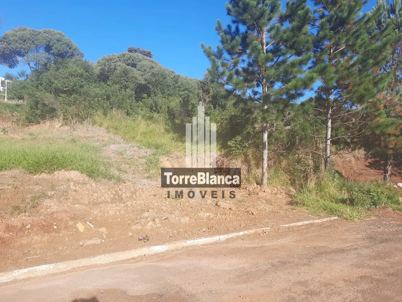 Terreno, 466 m² - Foto 2