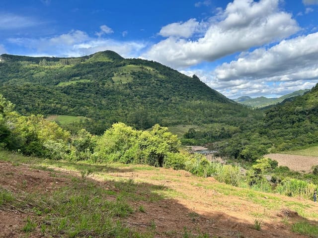 Terreno com 103471m², à venda, no bairro Santa Lúcia do Piaí em Caxias do Sul
