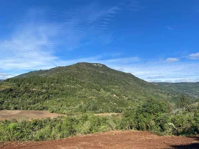 Terreno com 103471m², à venda, no bairro Santa Lúcia do Piaí em Caxias do Sul