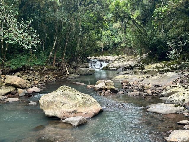Terreno com 103471m², à venda, no bairro Santa Lúcia do Piaí em Caxias do Sul