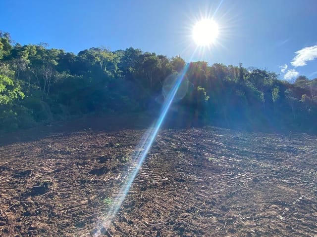 Terreno com 103471m², à venda, no bairro Santa Lúcia do Piaí em Caxias do Sul