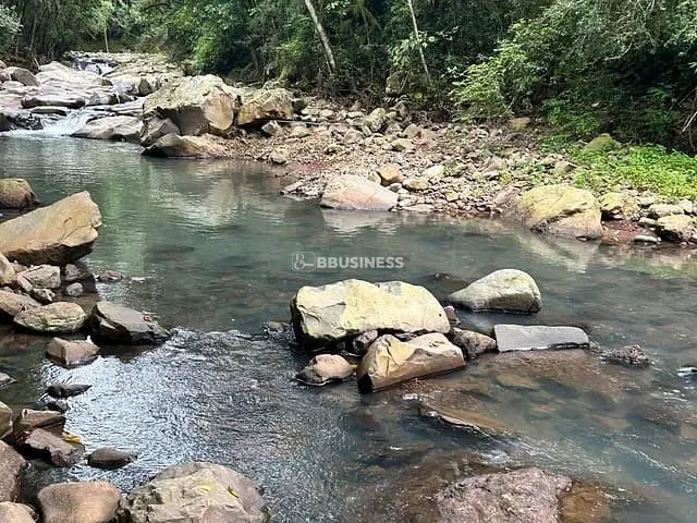 Terreno com 103471m², à venda, no bairro Santa Lúcia do Piaí em Caxias do Sul