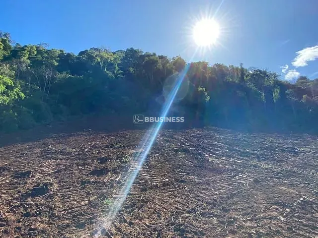 Terreno com 103471m², à venda, no bairro Santa Lúcia do Piaí em Caxias do Sul