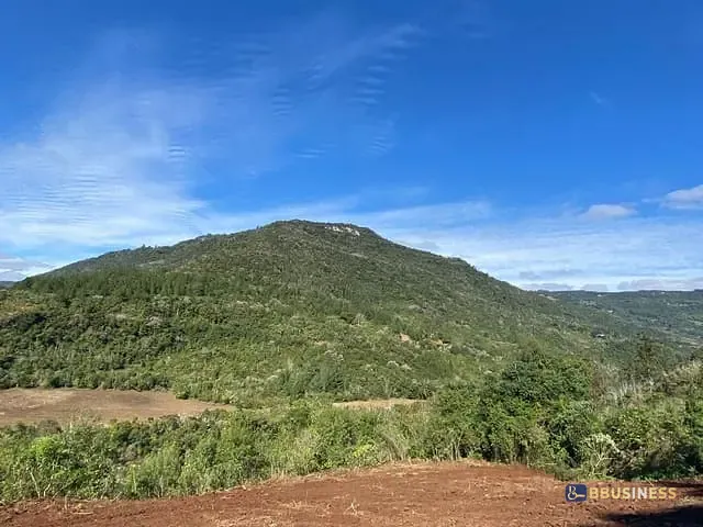 Terreno com 103471m², à venda, no bairro Santa Lúcia do Piaí em Caxias do Sul