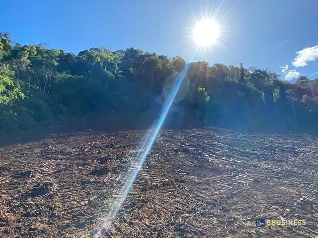 Terreno com 103471m², à venda, no bairro Santa Lúcia do Piaí em Caxias do Sul