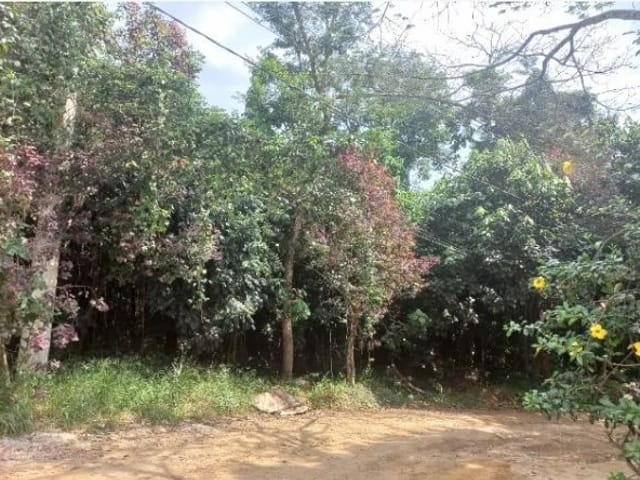 Terreno com 1432m², à venda, no bairro Jardim Pioneira em Cotia