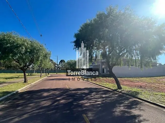Terreno com 300m², à venda, no bairro Jardim Carvalho em Ponta Grossa