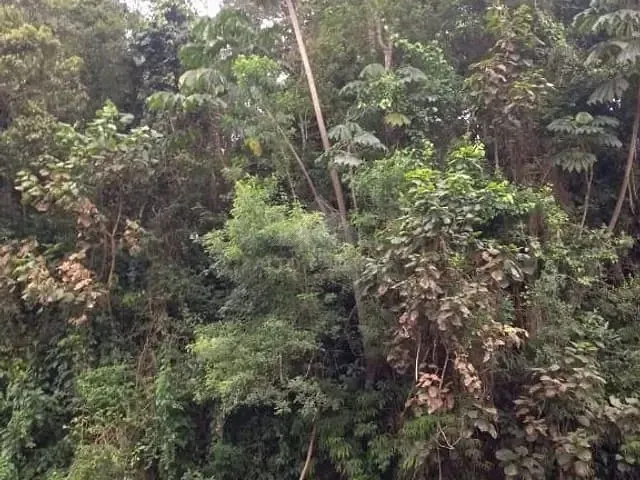 Terreno com 413m², à venda, no bairro Roncon em Ribeirão Pires