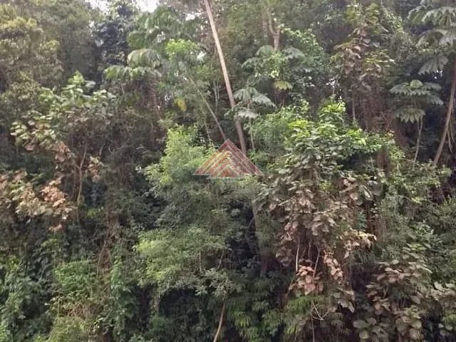 Terreno com 413m², à venda, no bairro Roncon em Ribeirão Pires