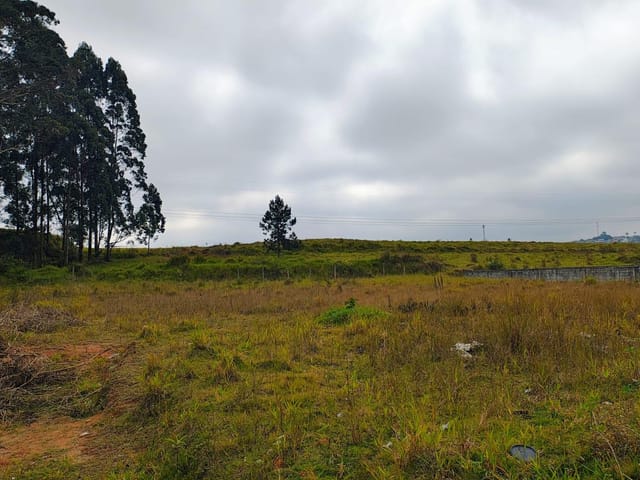 Foto do Terreno - Terreno à venda em Itaquaquecetuba, SP | Imobiliária Villela Imóveis
