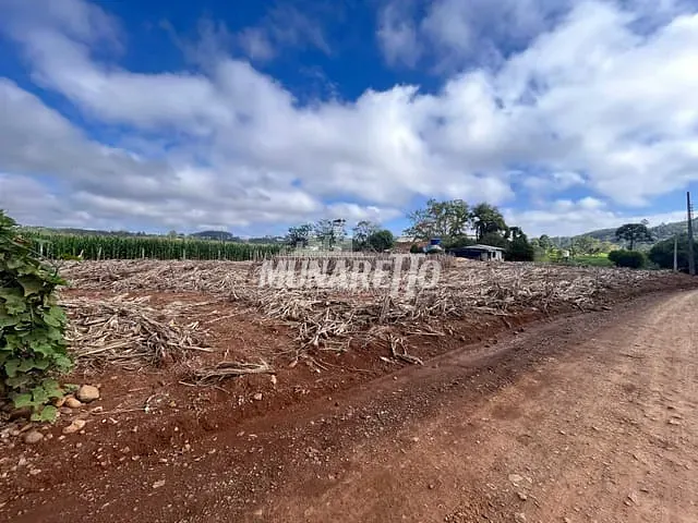 Terreno com 1980m², à venda, no bairro Linha Canhada Funda em Concórdia