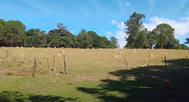 Terreno com 30000m², à venda, no bairro Vila São Benedito em Pindamonhangaba