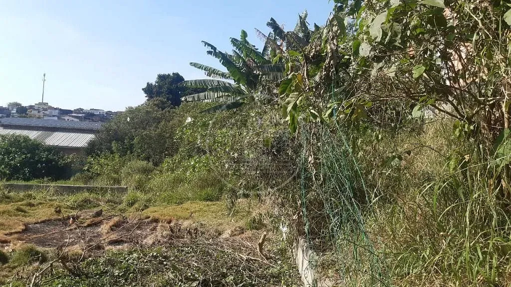 Terreno, 4200 m² - Foto 8