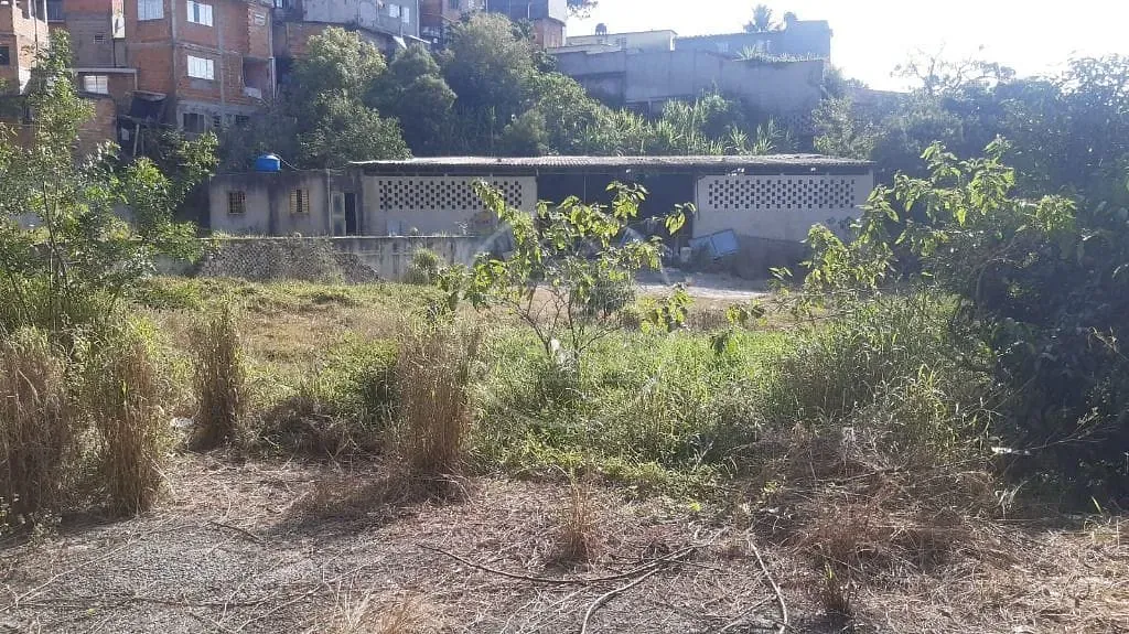 Terreno, 4200 m² - Foto 6