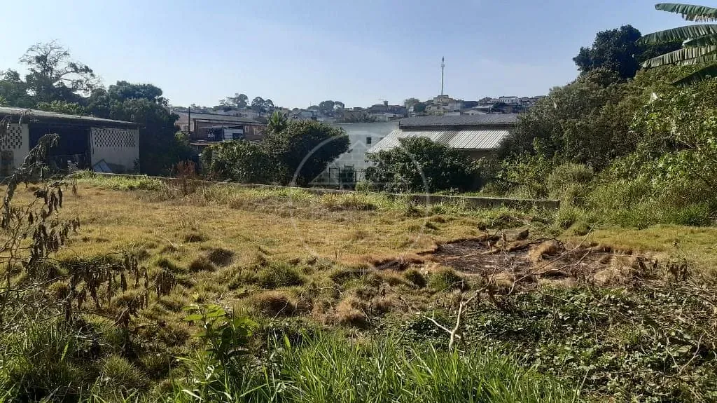 Terreno, 4200 m² - Foto 7