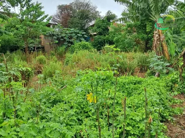 Terreno com 2800m², à venda, no bairro Vila Real Continuaçao em Hortolândia
