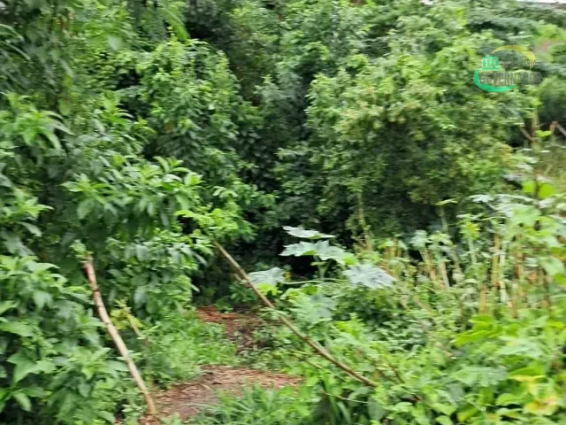 Terreno com 2800m², à venda, no bairro Vila Real Continuaçao em Hortolândia