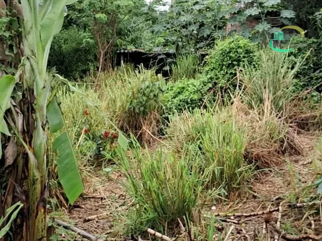 Terreno com 2800m², à venda, no bairro Vila Real Continuaçao em Hortolândia