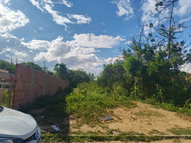 Terreno com 162m², à venda, no bairro Parque Novo Jockey em Campos dos Goytacazes