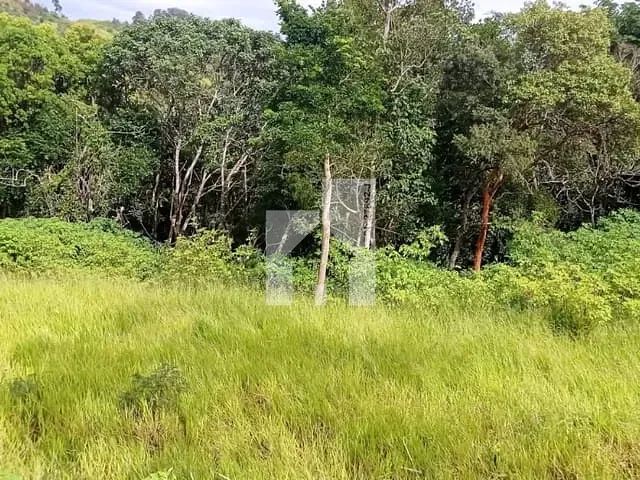 Terreno com 2925m², à venda, no bairro soares em Jarinu