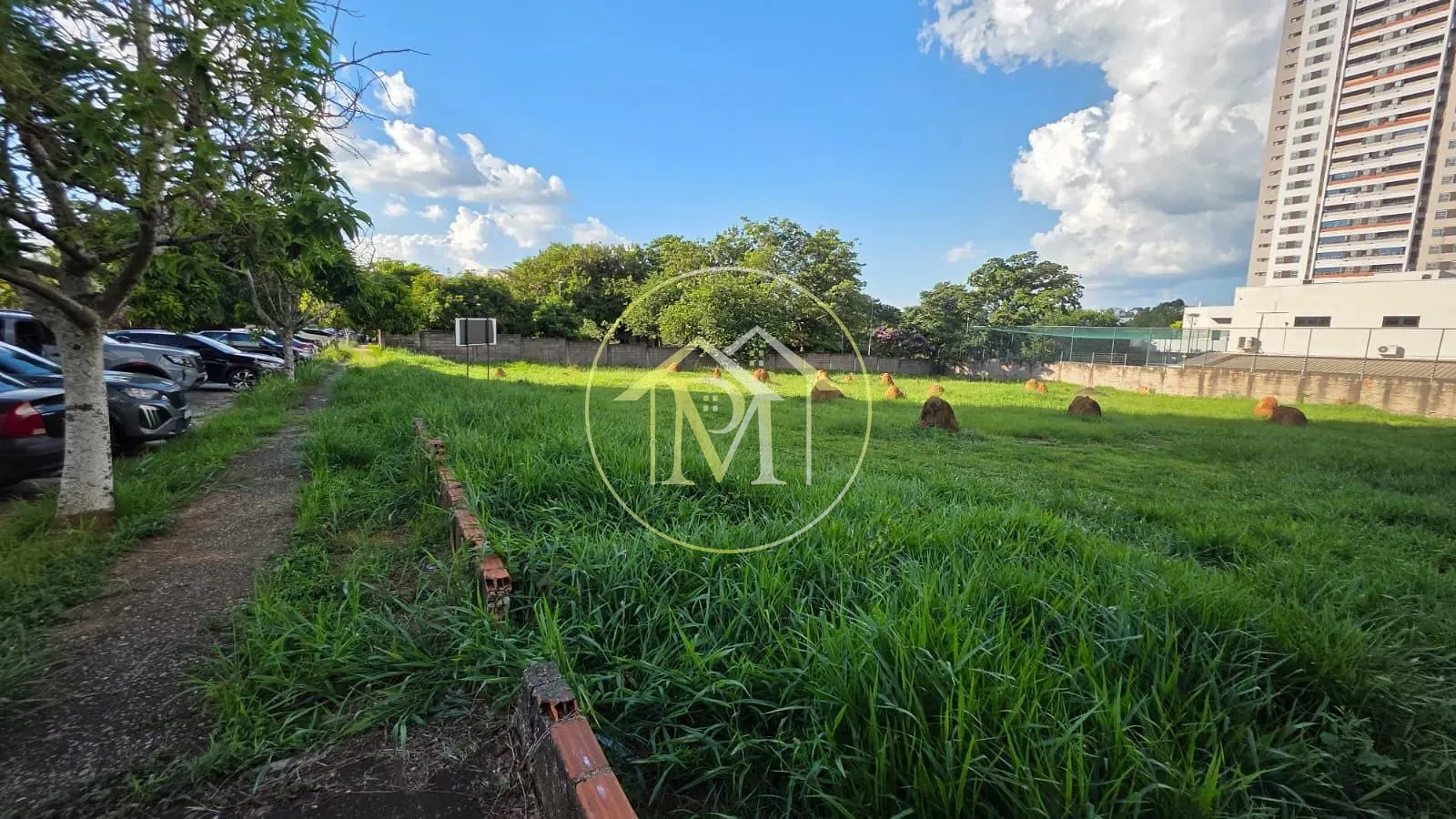 Terreno, 2000 m² - Foto 4