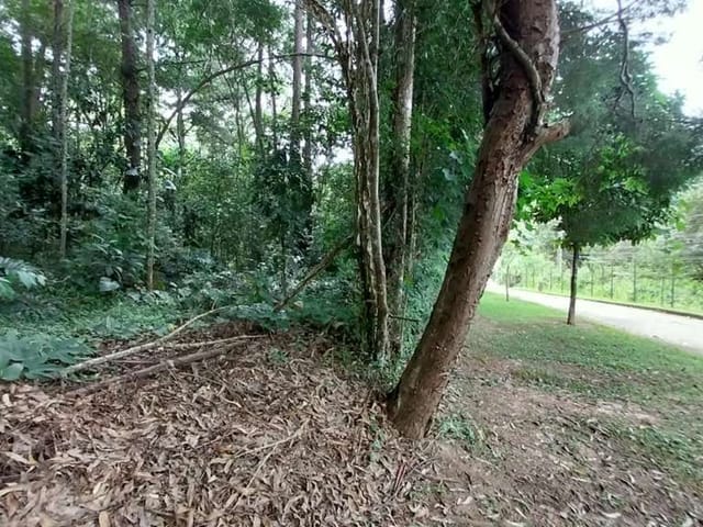 Terreno com 2500m², à venda, no bairro Moinho Velho em Embu das Artes