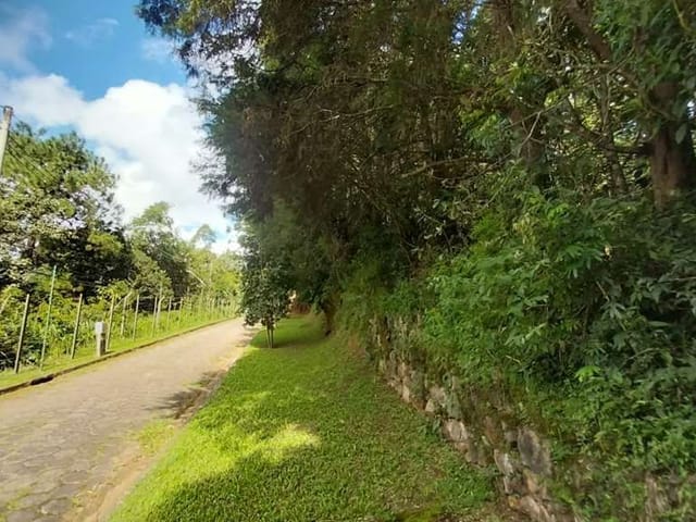 Terreno com 2500m², à venda, no bairro Moinho Velho em Embu das Artes