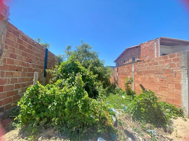 Terreno com 156m², à venda, no bairro Parque Novo Jockey em Campos dos Goytacazes