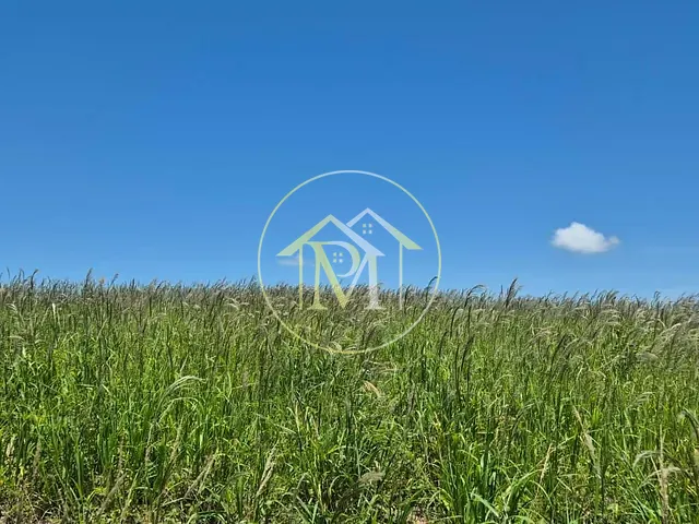 Terreno com 193600m², à venda, no bairro Área Rural de Quadra em Quadra