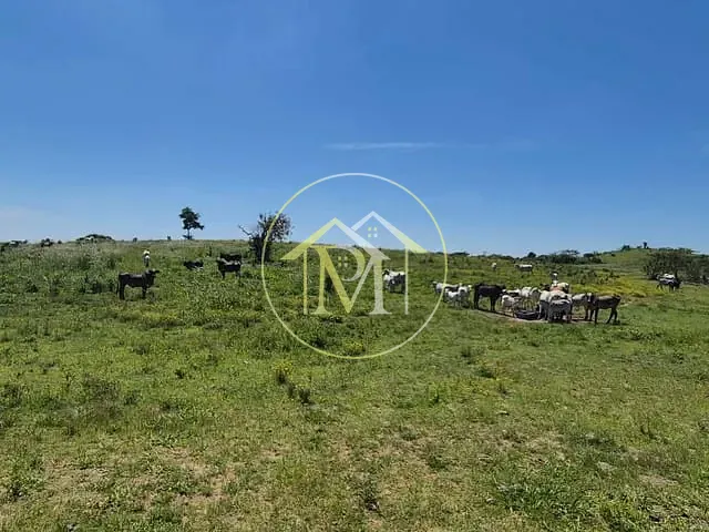 Terreno com 193600m², à venda, no bairro Área Rural de Quadra em Quadra