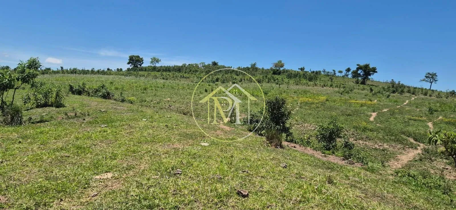 Terreno, 19 hectares - Foto 3