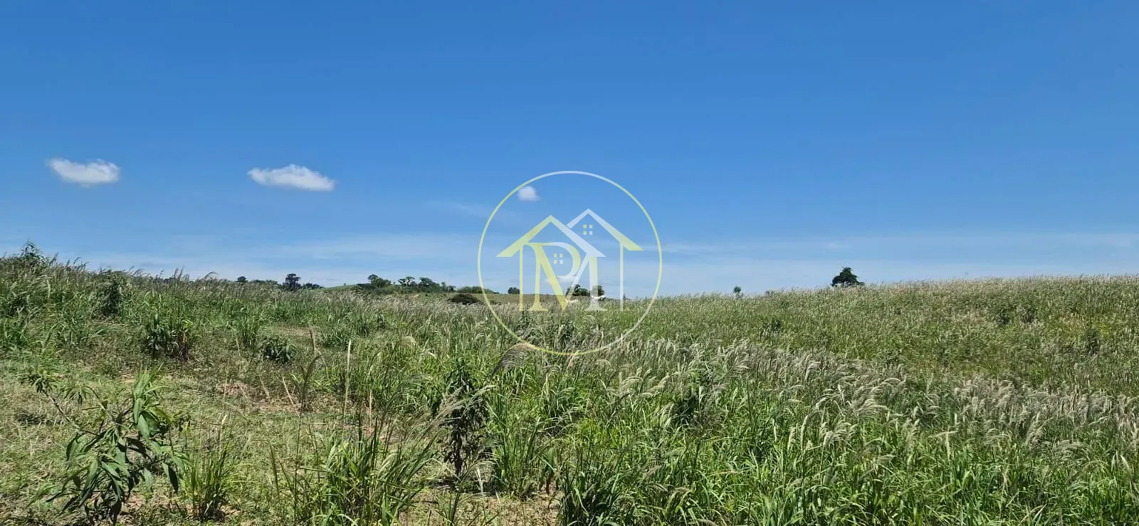 Terreno, 19 hectares - Foto 4