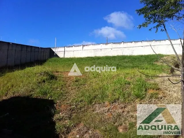 Terreno com 650m², à venda, no bairro Oficinas em Ponta Grossa