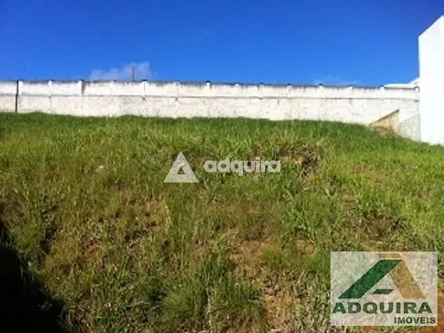 Terreno com 650m², à venda, no bairro Oficinas em Ponta Grossa