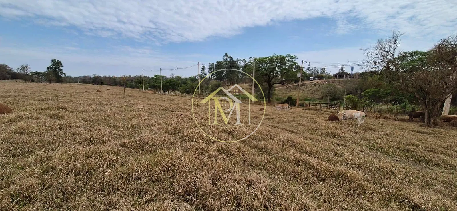 Terreno, 19 hectares - Foto 10